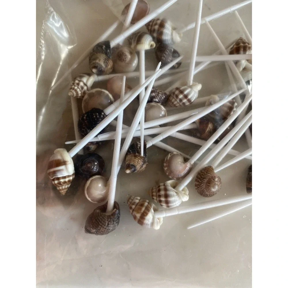 Cocktail Picks Brown Sea Shell Appetizer Toothpicks Coastal Tiki Lot